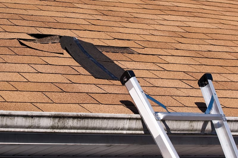 Roof Tune-Up & Repairs